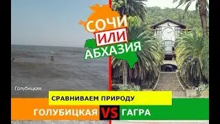 Сочи или Абхазия.  Сравниваем природу. Голубицкая и Гагра
