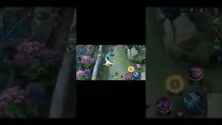 Loop Transition 