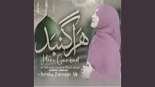 Hara Gumbad Jo Dekhoge Zamana Bhool Jaoge (Lofi-Mix)