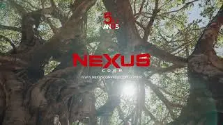 Nexus 5 anos