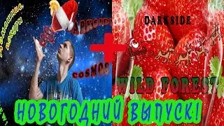 Топовый микс новинок от DARKSIDE - Cosmos + Wildforest