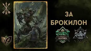 Гвинт. Белки на Сродстве без Преданности.Патч 7.2. Гайд + Бои