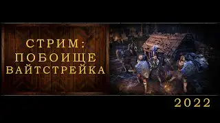 ESO СТРИМ: ПОБОИЩЕ ВАЙТСТРЕЙКА (2022)