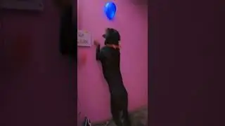 pyar h ye tho ❣️ #doglover #dog #rottwiler #shortindia #shortsdog #youtubeshorts #ytshorts #pets
