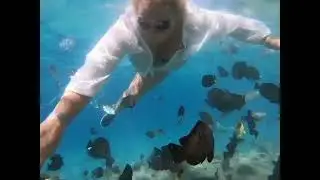 шикарное красное море #египет #красноеморе #шармальшейх #рыбки   #egipt #fish #trip  #sea