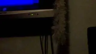 Me + Momo Playing Halo part 2