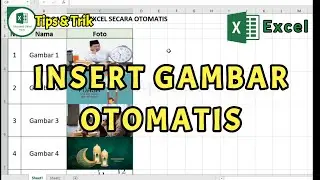 How to Insert Image in Excel Automatically