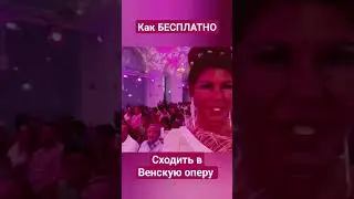 КАК БЕСПЛАТНО СХОДИТЬ В ВЕНСКУЮ ОПЕРУ?