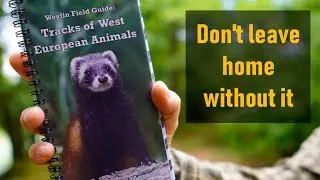 Weylin Field Guide: Tracks of West European Animals