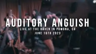 (197 Media) Auditory Anguish - 06/16/2023