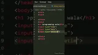 Show date and time in html web page #HTML #Date&time #programming_wala #input