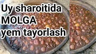 UY SHAROITIDA MOLGA ARZON YEM TAYORLASH