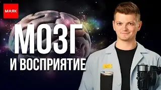 Как мозг строит гипотезы о том, что мы должны воспринять.  Илья Мартынов