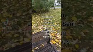 Senden gelen zerbeleri unutmadim, unutmaram. Seni qelbimden silecem yavas- yavas, aram-aram.