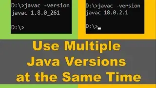 How to use multiple Java versions at the same time?