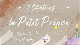Le Petit Prince : les 5 plus belles citations! (Fle)