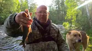 За хариусом. Рыбалка в Карелии. Часть 2.