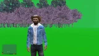 GTA 5 - Ultimate Green Screen Mod