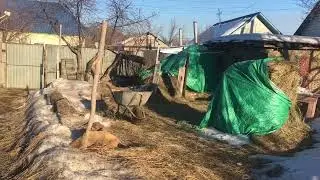 Прибираюсь возле сараев.
