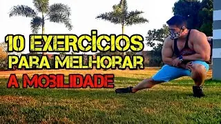 10 EXERCÍCIO PARA MOBILIDADE