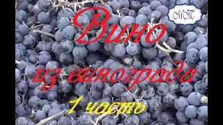 Homemade grape wine