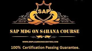 SAP S4HANA MDG DAY 7 CLASS VIDEO