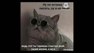 снова день, снова ночь || смешные котики || котики || #котики #коты #котята #смешныекоты #день #ночь