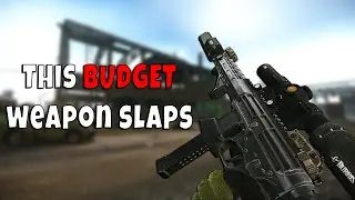 This Budget Weapon Slaps - Escape from Tarkov