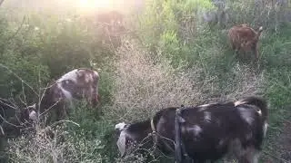 Если сильно захотеть,и все получится!