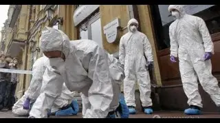 Тостер War Z
