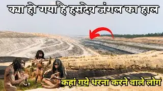 हसदेव जंगल कि सच्चाई | हरियरपुर हसदेव जंगल बचाओ | कहाँ गये धरना देने वाले क्या जंगल पुरा खाली हो गया