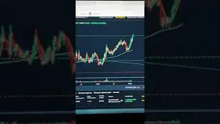 Мемная» криптовалюта взлетела в цене: Криптовалюта: Экономика ...