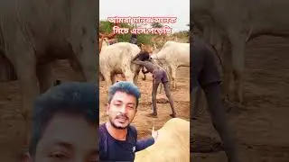 #আমরা #মানুষ #নিচে #নেমে #গেছি #reels #video