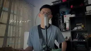 Perfect - One Direction ( Cover )