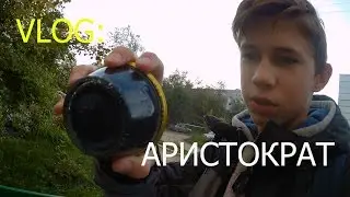 VLOG: Красиво жить не запретишь