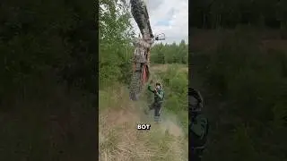 Бета умеет летать 