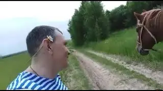 Необычайное путешествие . Рыбалка , лес и Большой куролес! Для всех кто ценит юмор и любит природу)