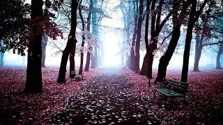 Aso - Waiting On You