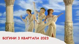 #avon Саммит Богинь 15 Дивизиона