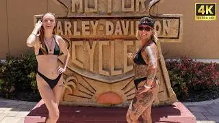 Destination Daytona 2024 World's Largest Harley Davidson Showroom