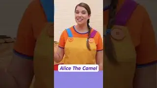 Teach Animals! #shorts #teachingtips #animals #preschoolers