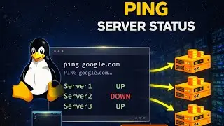 Bash Script to Check Server Connectivity | Ping Script in Linux