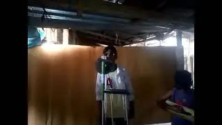 Basu dev