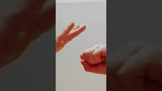 5 июля 2024 г.