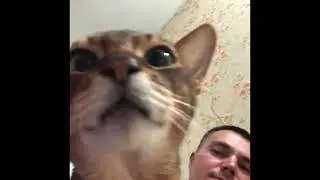 Когда дома ждут-4
