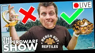 The DO's and DONT's of Keeping Superdwarf Retics