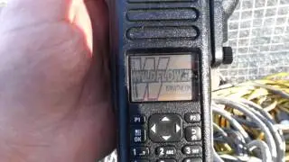 Wildflower Radio Boot Screen