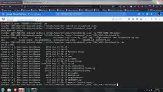 Hacking with Google Cloud Platform | 2021 | Devil Emox