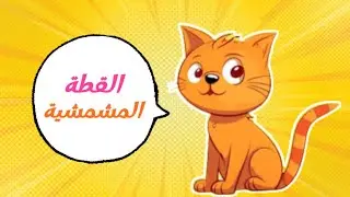 القطة المشمشية | اغاني اطفال قناة داني