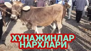 АНДИЖОН БАЛИКЧИ МОЛ БОЗОРИ ХУНАЖИНЛАР НАРХЛАРИ 2021 ANDIJON BALIQCHI MOL BOZORI XÒNAJINLAR NARXLARI